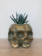 Maker Missya Double Skull Planter