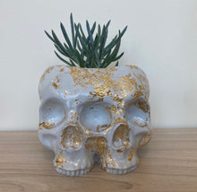 Maker Missya Double Skull Planter