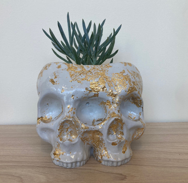 Maker Missya Double Skull Planter