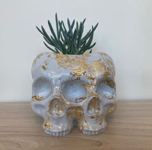 Maker Missya Double Skull Planter