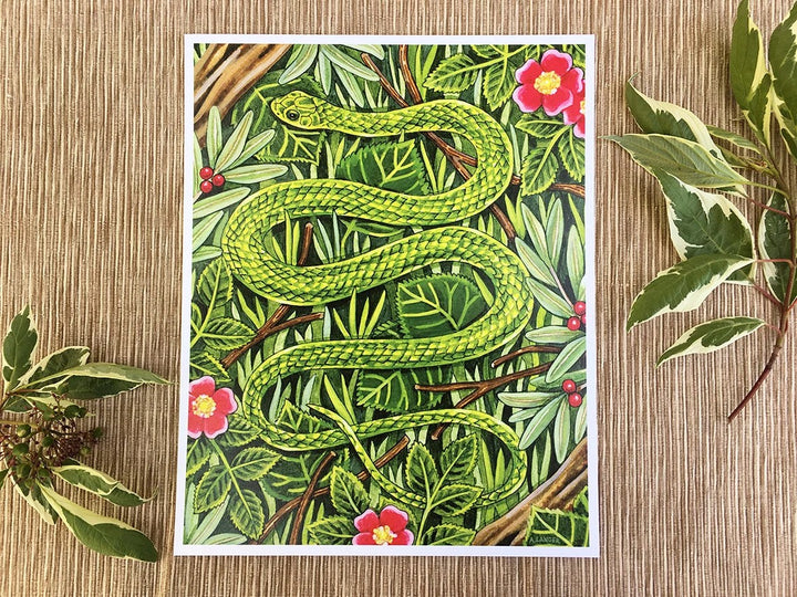 Adrienne Langer Smooth Greensnake Print