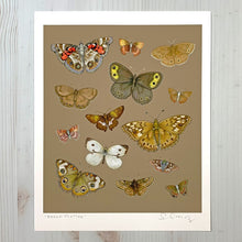 Sarah Draws Things Brown Flutter 8x10 Print