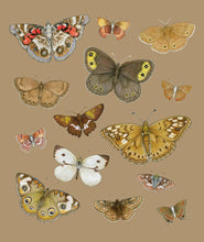 Sarah Draws Things Brown Flutter 8x10 Print