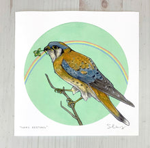 Sarah Draws Lucky Kestrel 8x8 Print